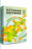 Watermark Software for Business